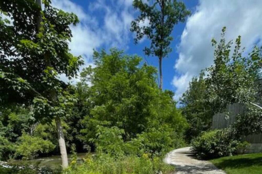 Photo of Others in Williamstown