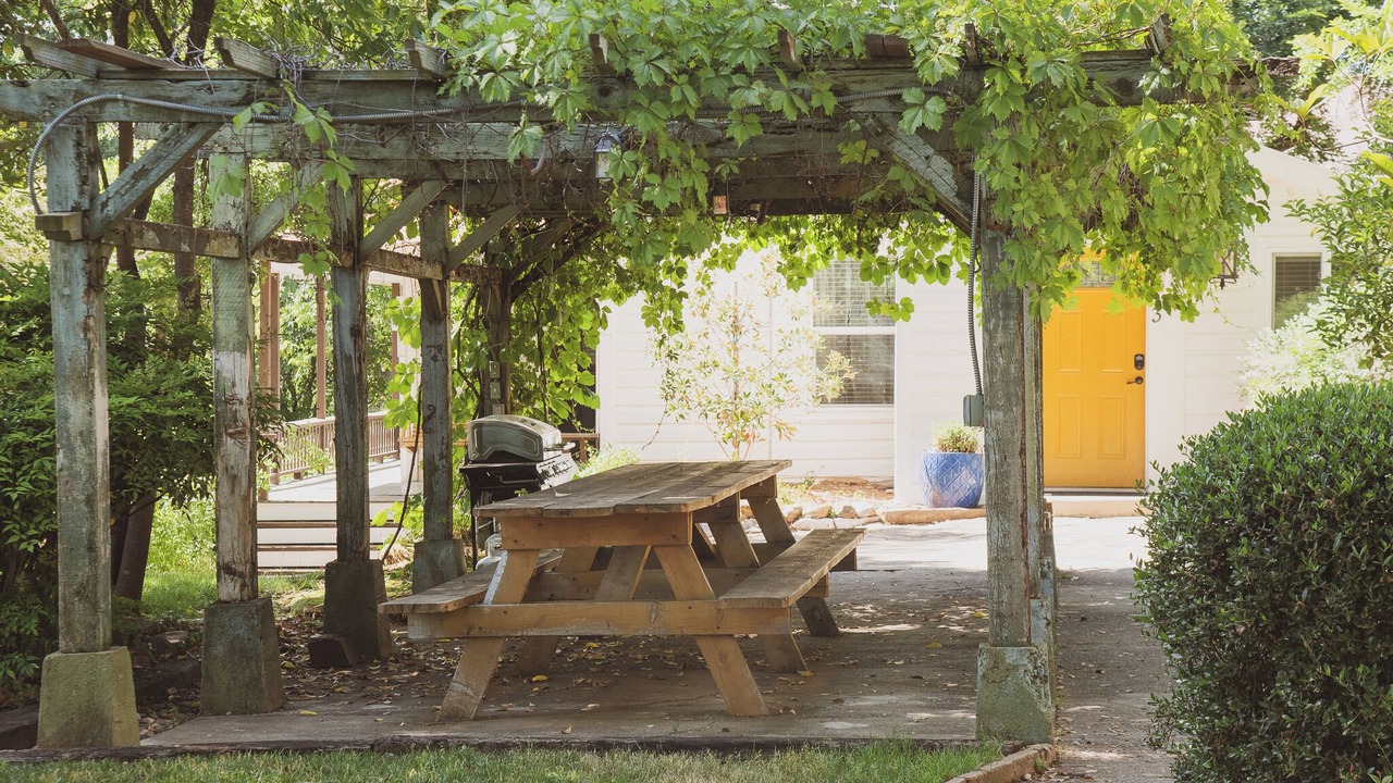 Photo of Outdoor in Sonora