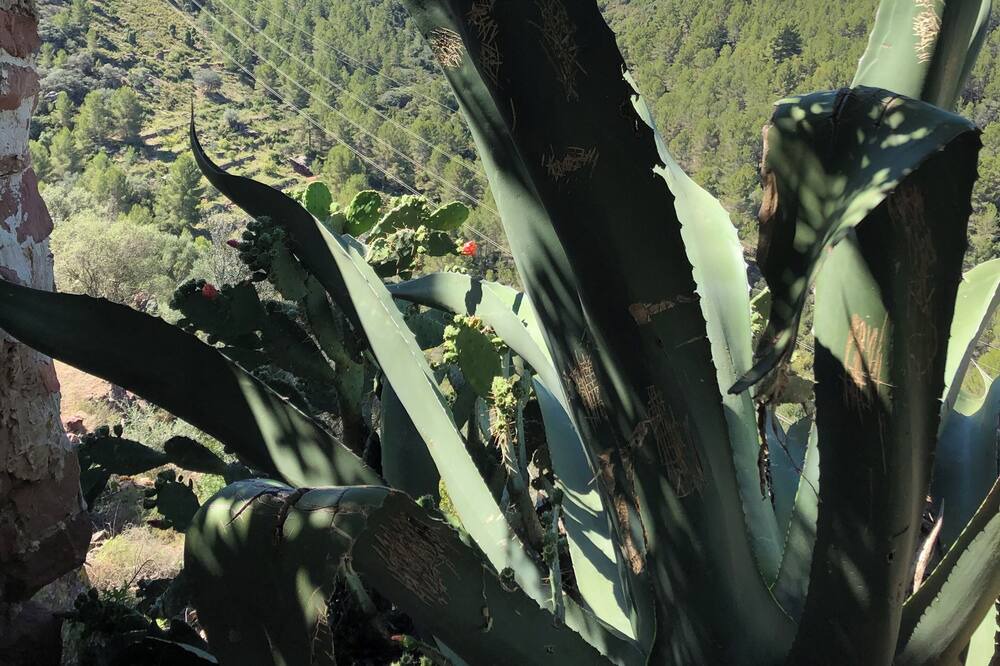 Photo of Others in Vilafames