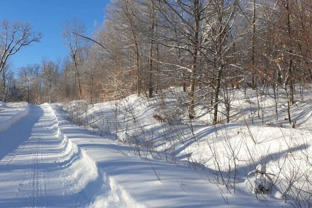 Photo of Others in Wentworth-Nord