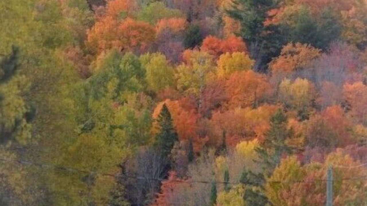 Photo of Others in Purdy