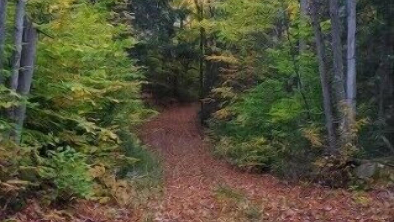 Photo of Others in Purdy