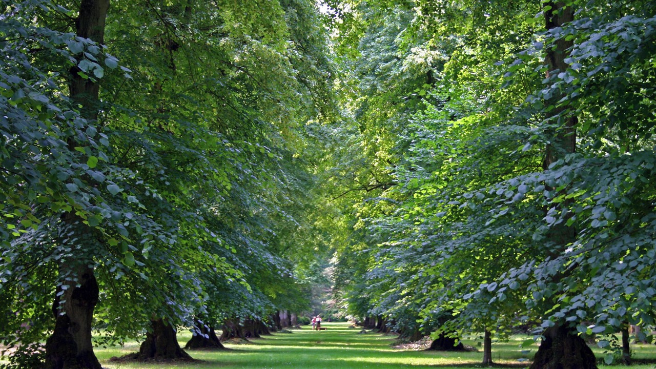 Photo of Outdoor in Crudwell