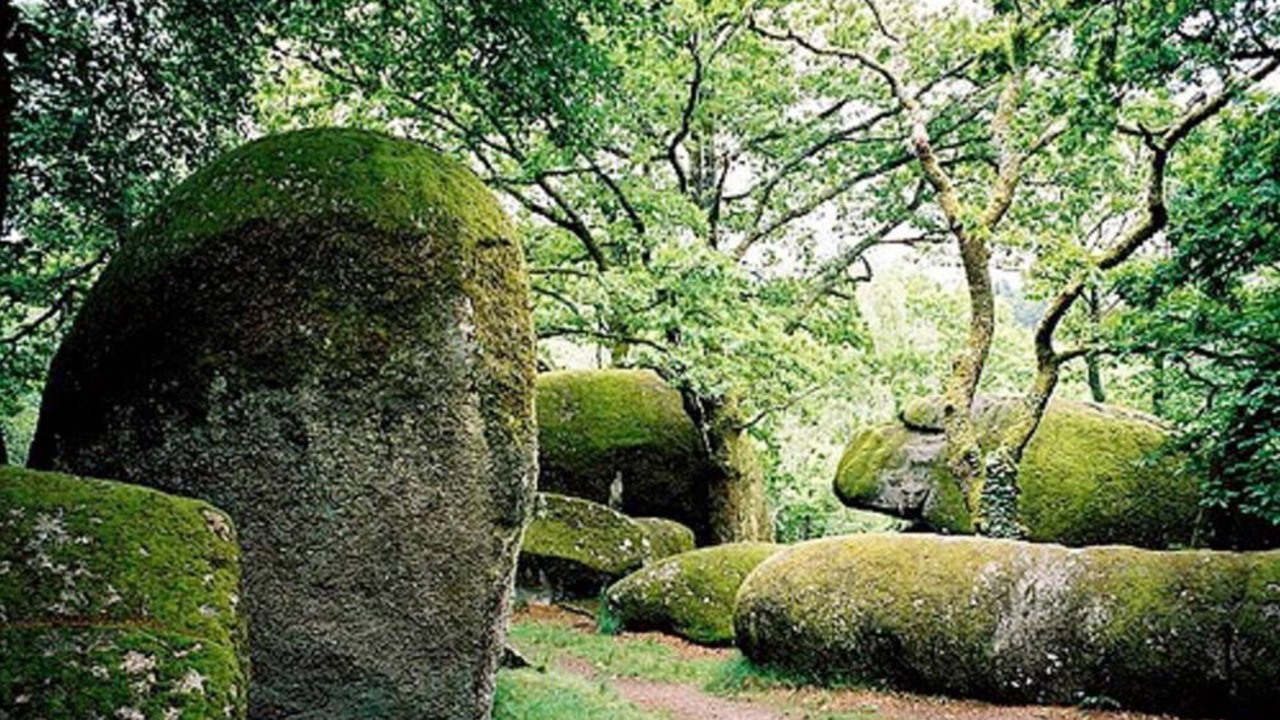 Photo of Outdoor in Compreignac