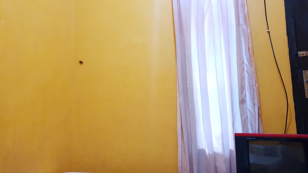 Photo of Bedroom in Rogojampi