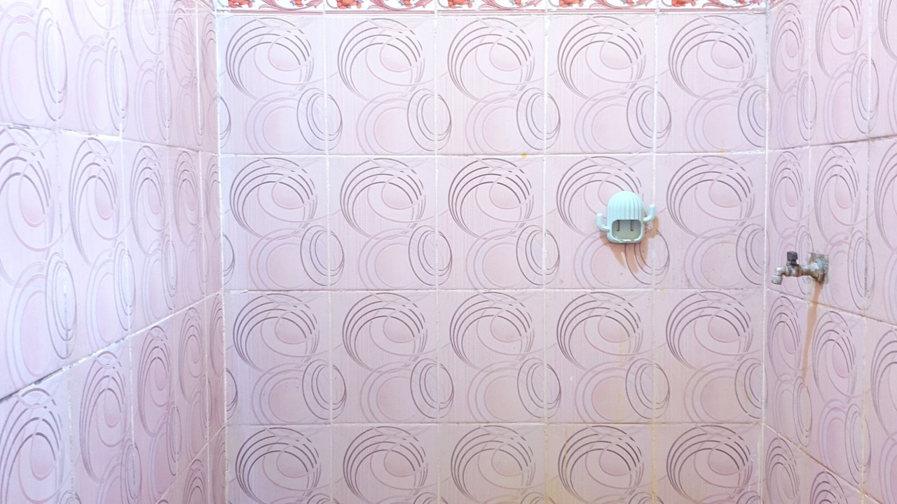 Photo of Bathroom in Rogojampi