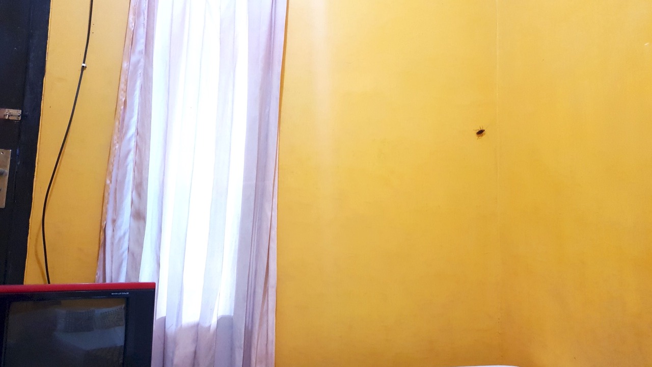 Photo of Bedroom in Rogojampi