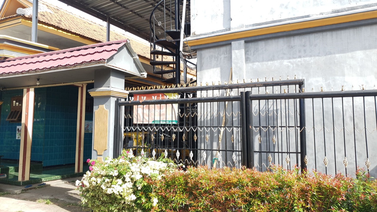 Photo of Outdoor in Rogojampi