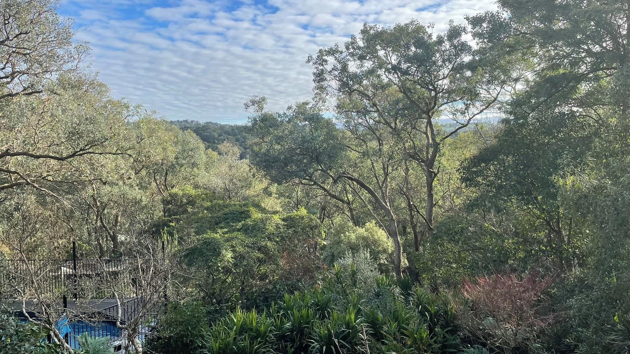 Photo of Others in North Warrandyte