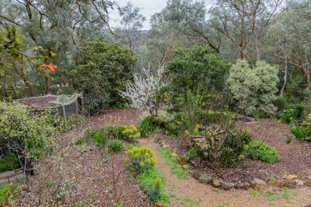Photo of Outdoor in North Warrandyte