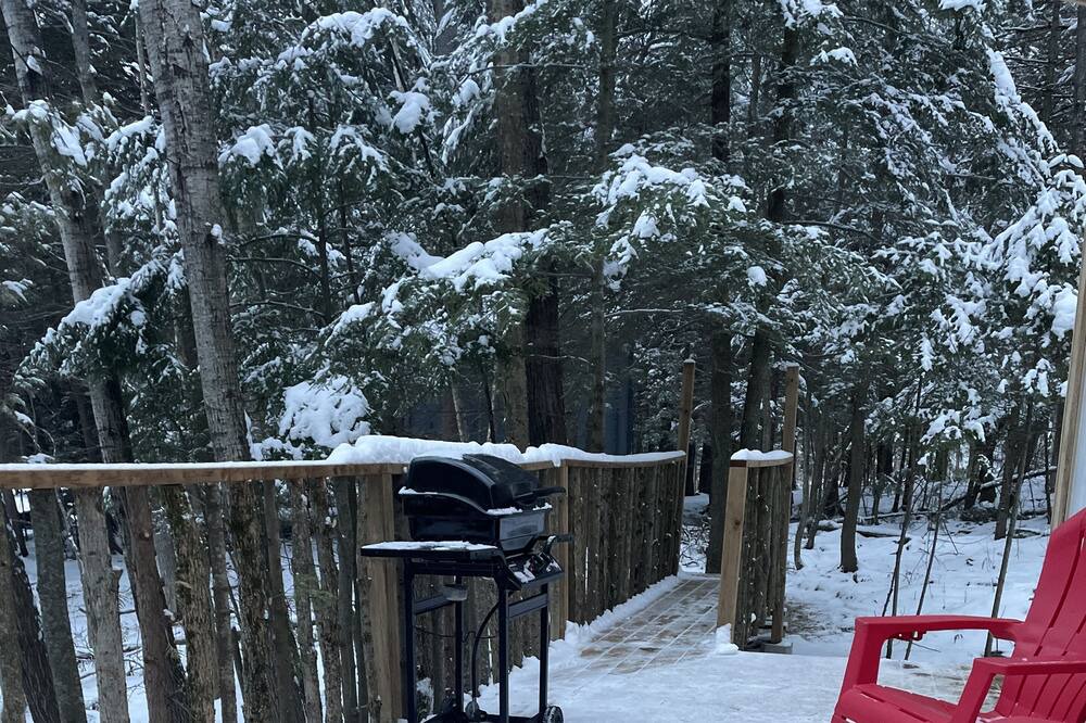 Photo of Outdoor in Hastings Highlands
