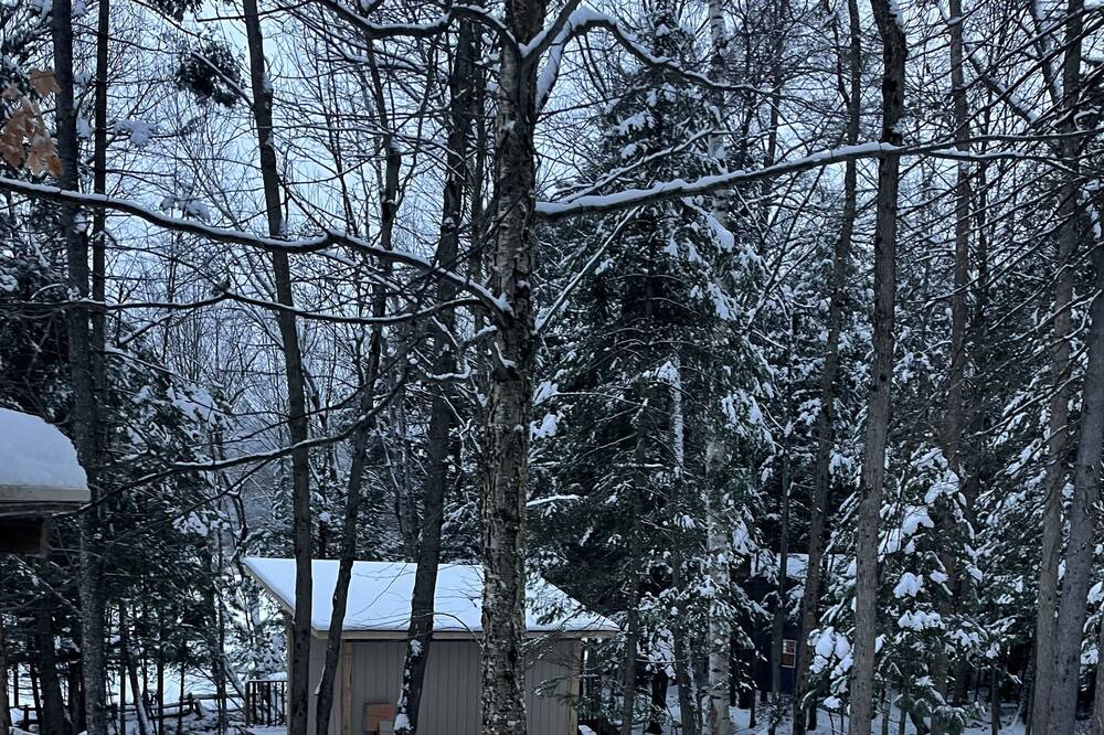 Photo of Outdoor in Hastings Highlands