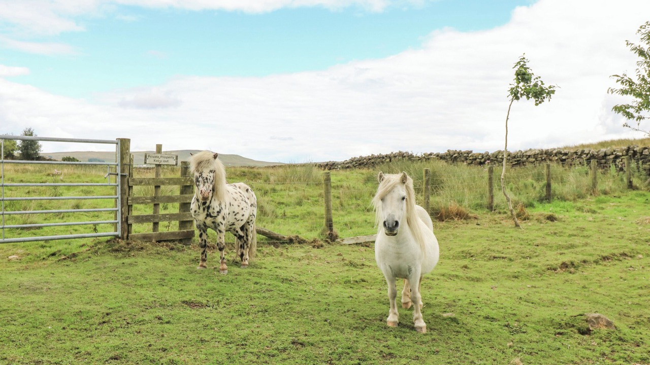 Photo of Outdoor in Kirkby Stephen