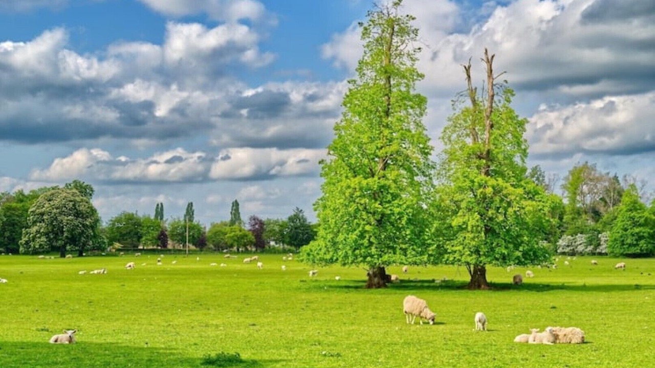 Photo of Others in Down Ampney