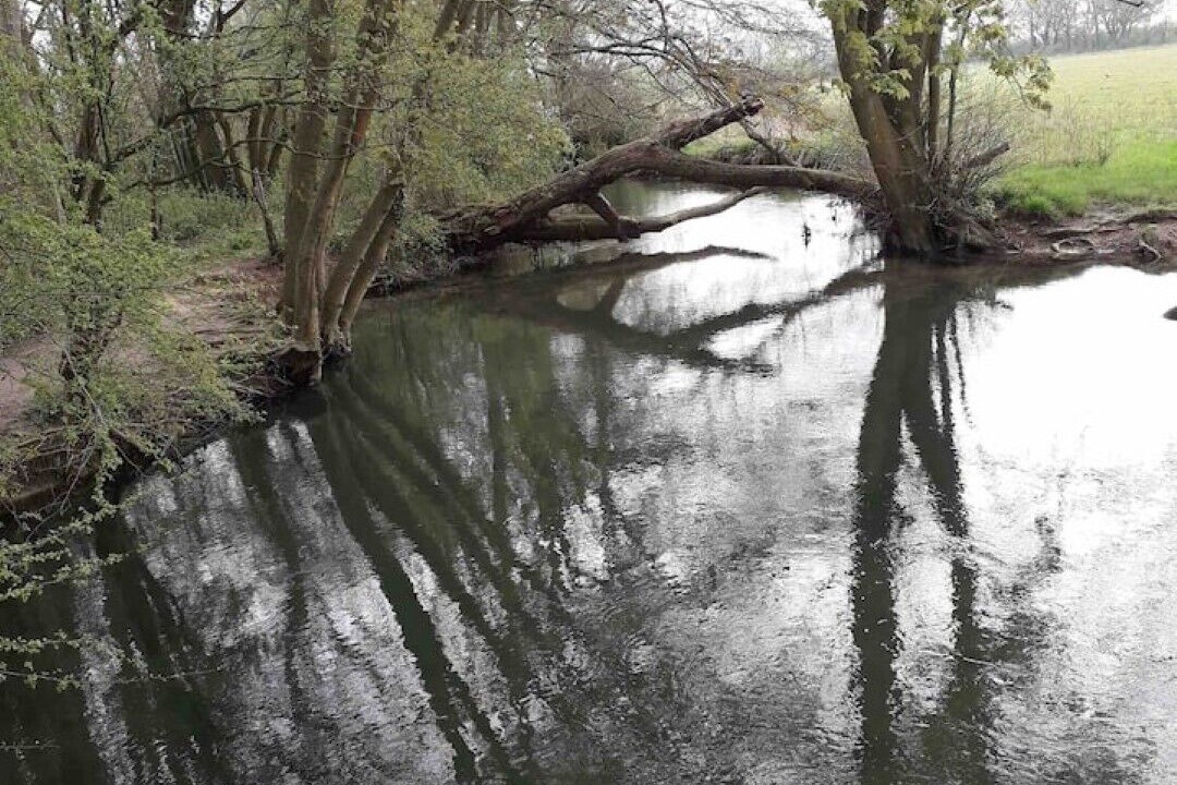 Photo of Others in Down Ampney