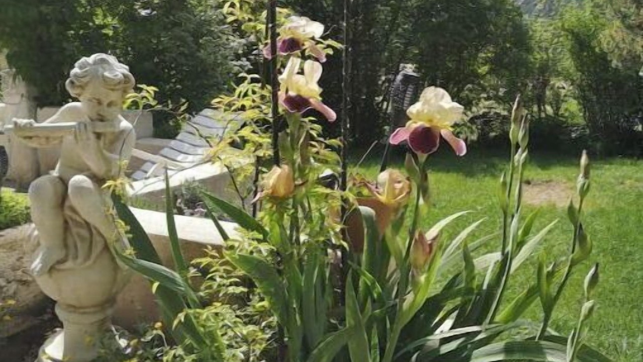 Photo of Outdoor in Valderoure