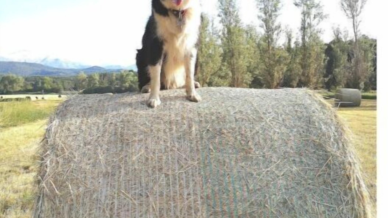 Photo of Outdoor in Valderoure