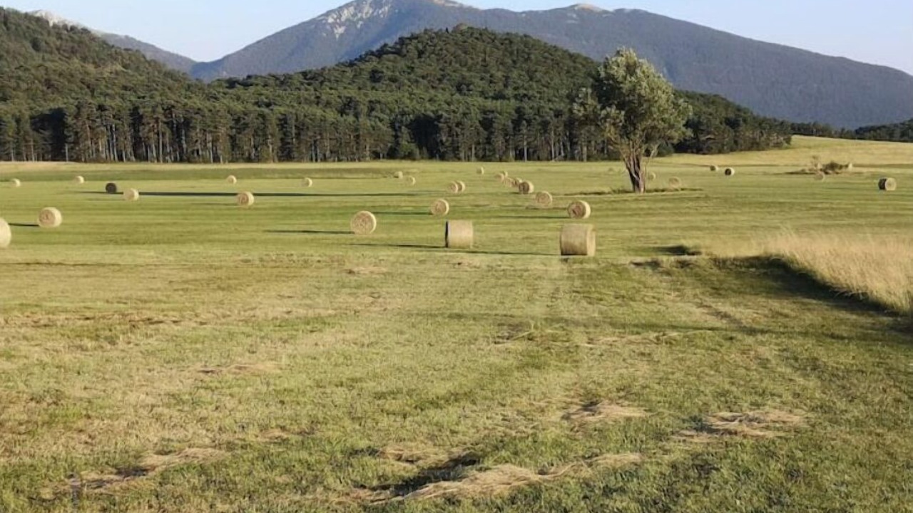 Photo of Others in Valderoure