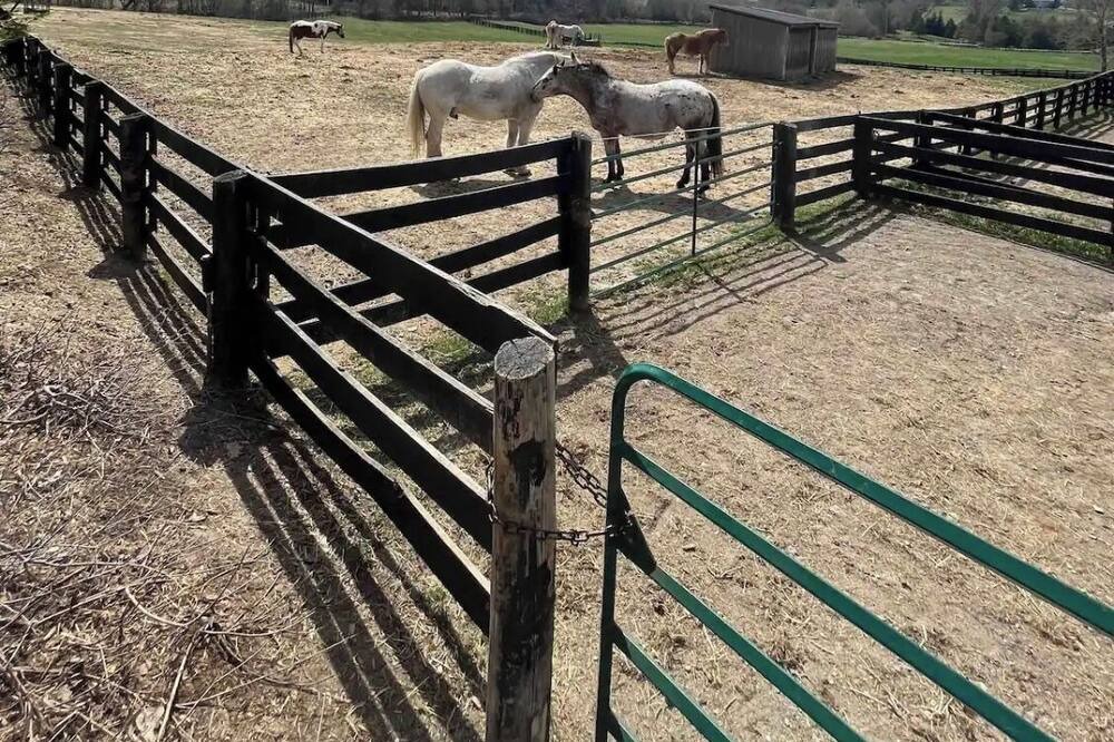 Photo of Outdoor in Aurora