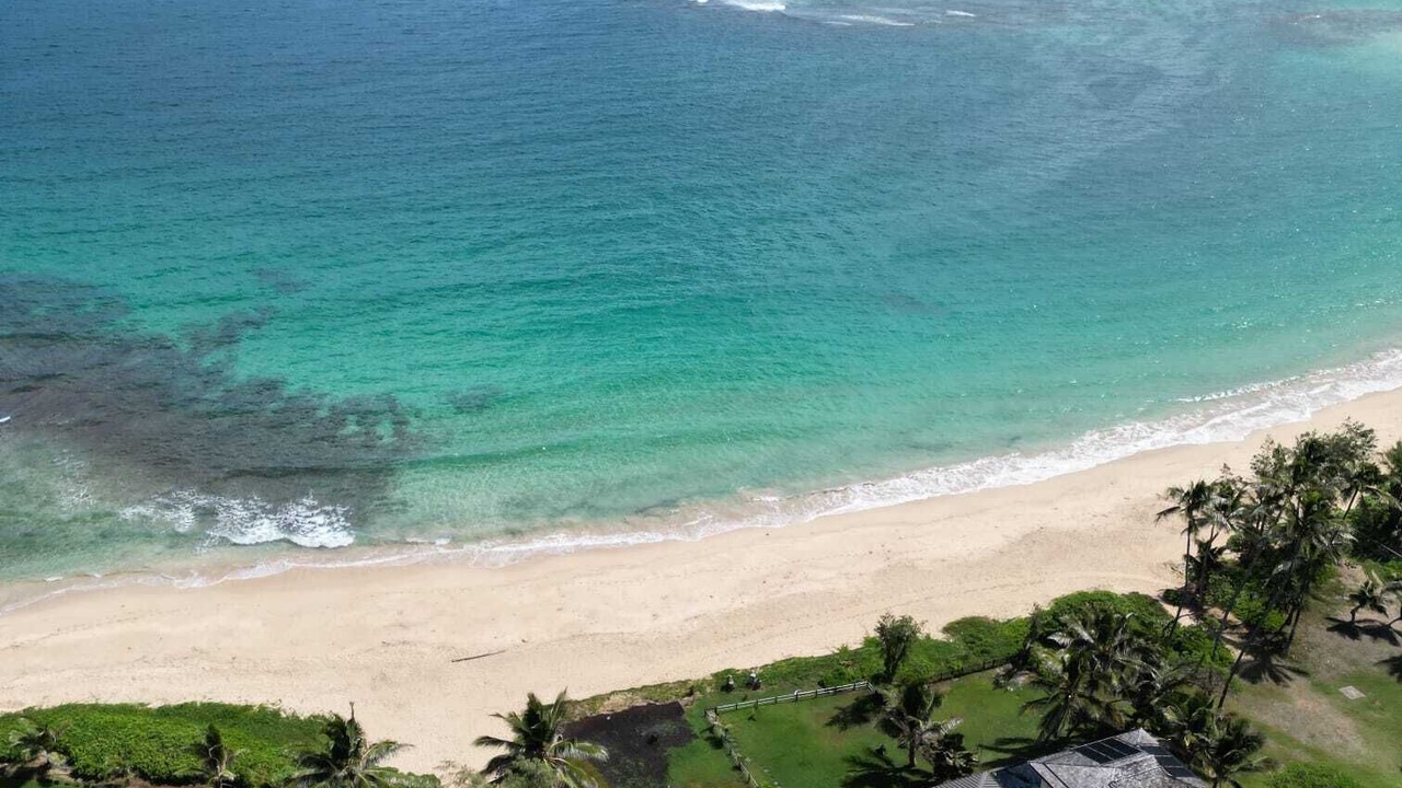 Photo of Others in Laie