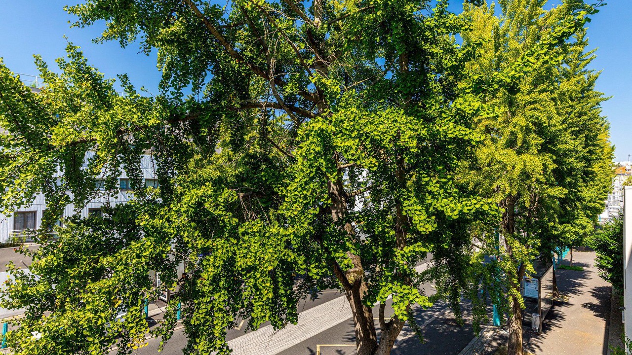 Photo of Outdoor in Arcueil