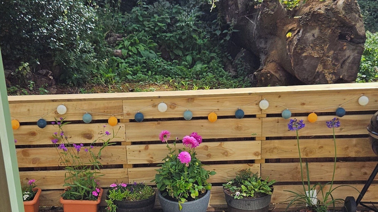 Photo of Outdoor in Northampton