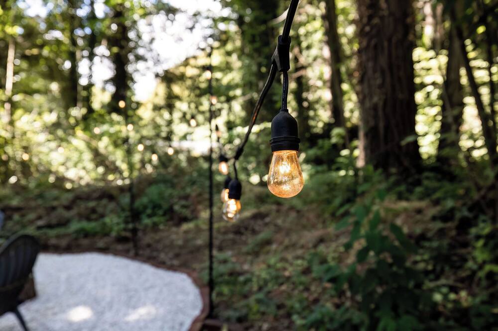 Photo of Outdoor in Erlands Point-Kitsap Lake