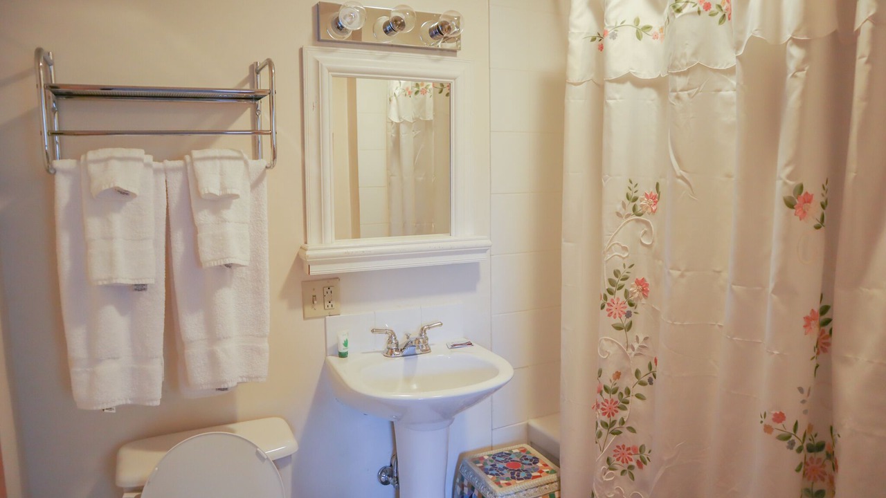 Photo of Bathroom in Mount Holly Springs