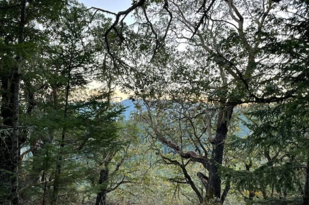 Photo of Others in Umpqua