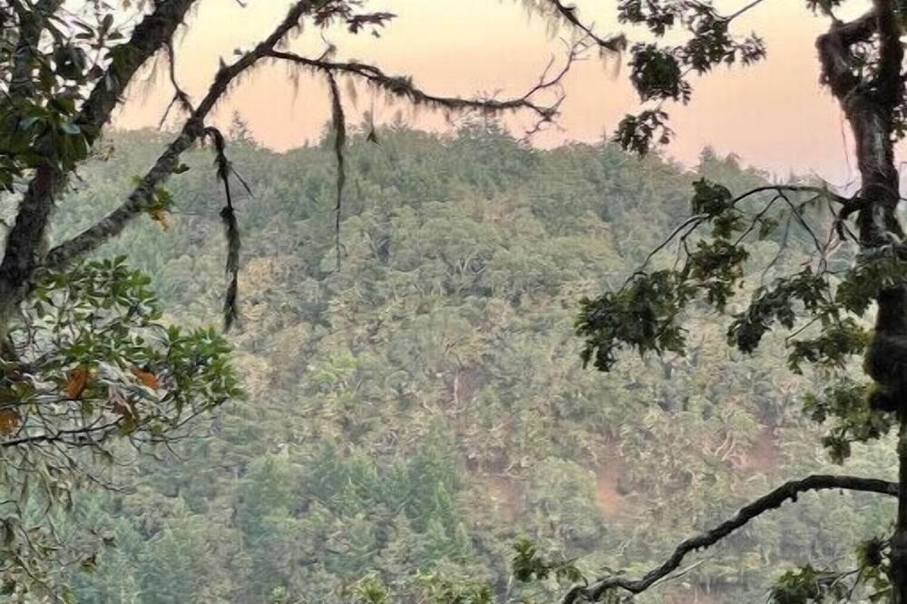 Photo of Others in Umpqua