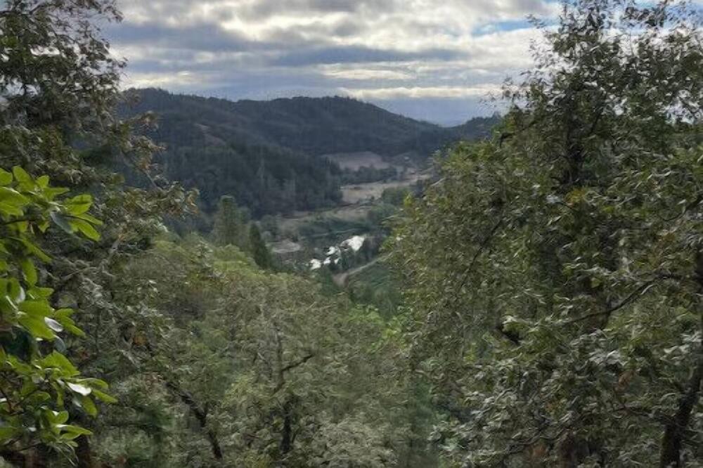 Photo of Others in Umpqua