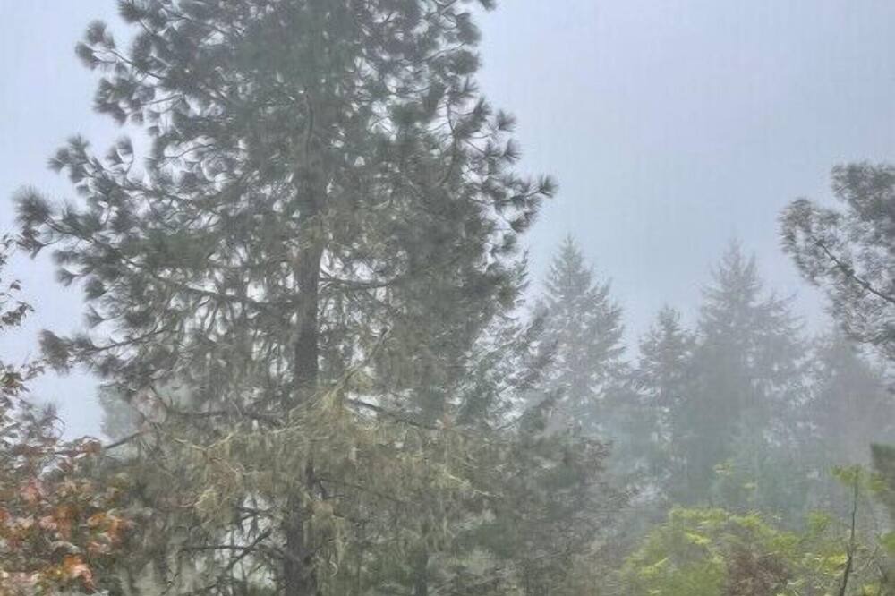 Photo of Outdoor in Umpqua