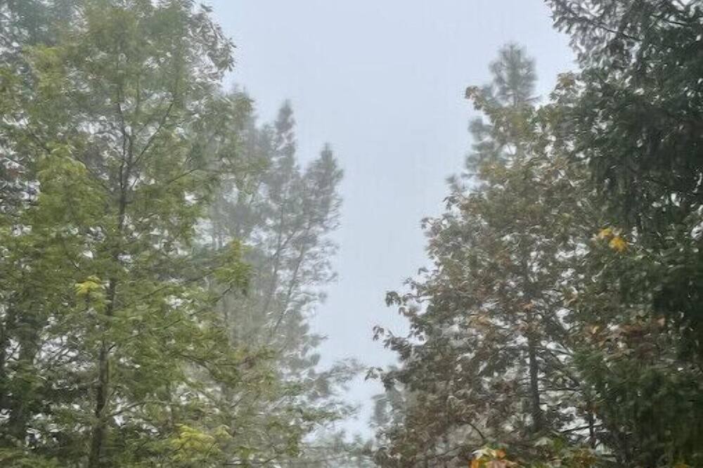 Photo of Outdoor in Umpqua