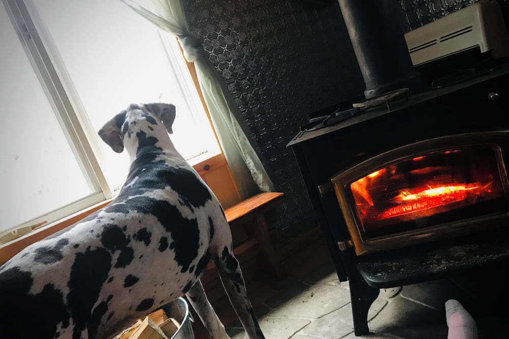 Photo of Others in Brantingham