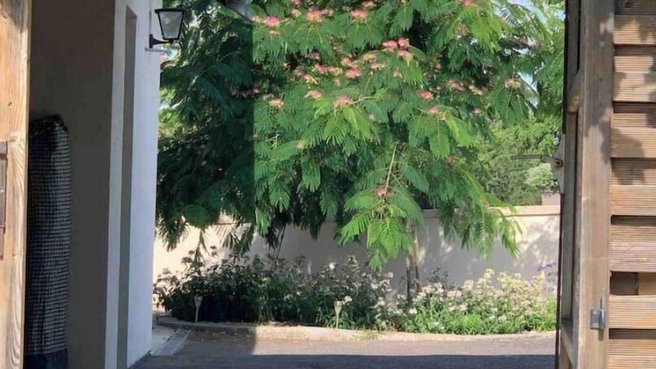 Photo of Outdoor in Gourgeon