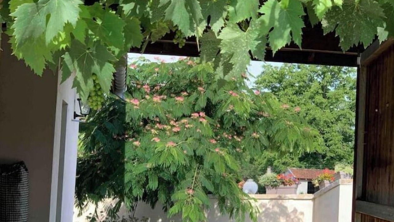 Photo of Outdoor in Gourgeon