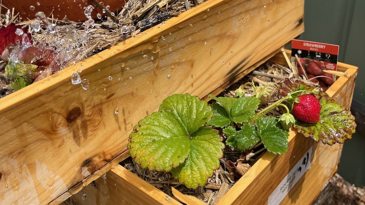 Photo of Others in Avenel