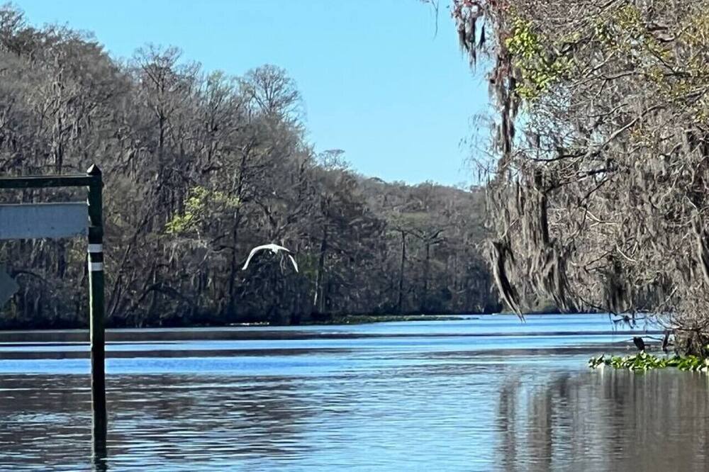 Photo of Others in Suwannee