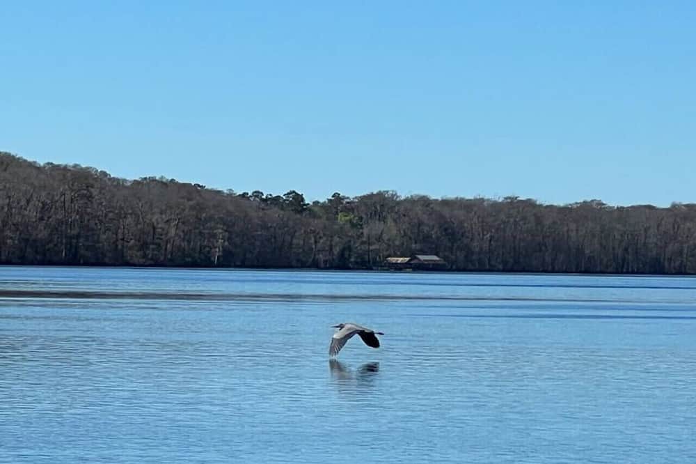 Photo of Others in Suwannee