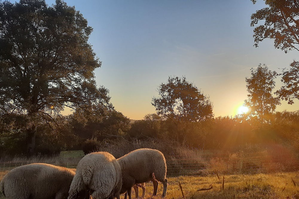 Photo of Outdoor in Celon