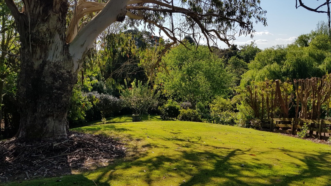 Photo of Others in East Tamaki Heights