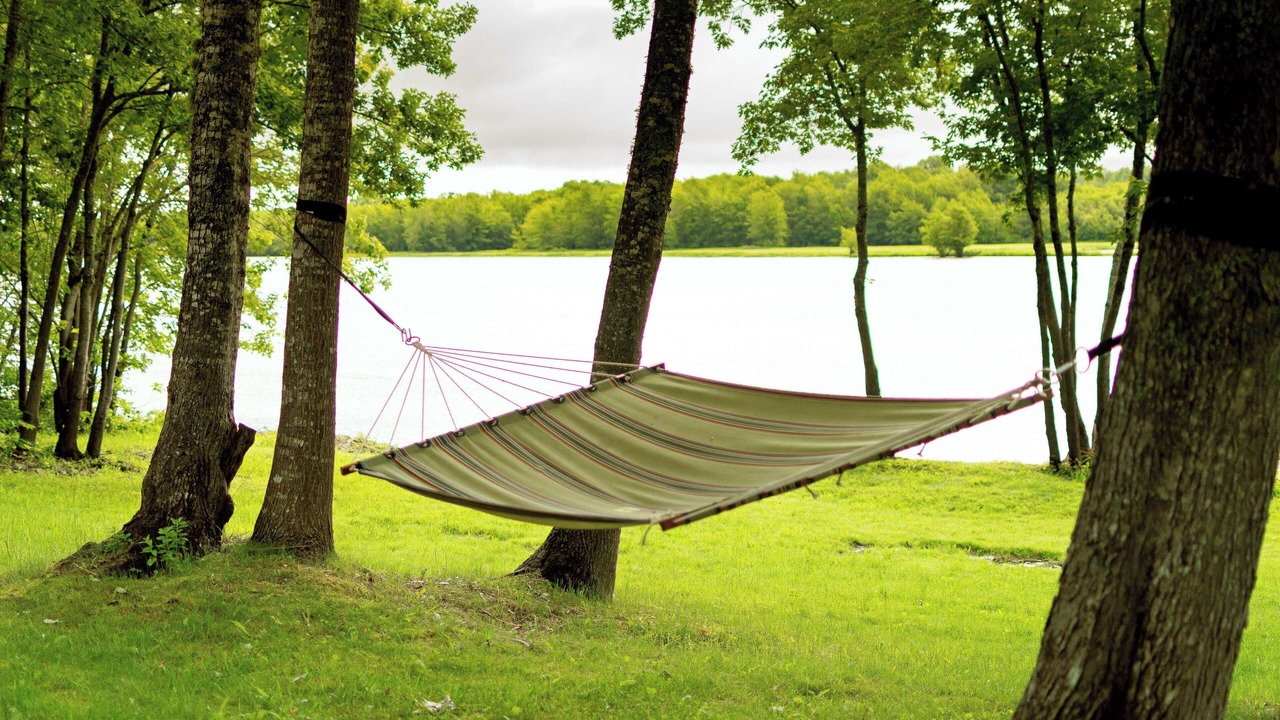 Photo of Outdoor in Springfield