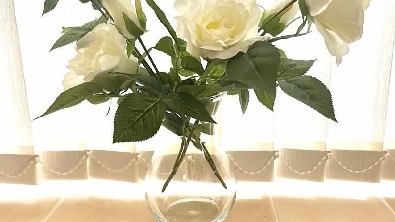 Photo of Outdoor in Irlam