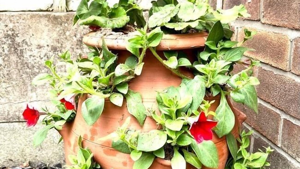 Photo of Outdoor in Irlam