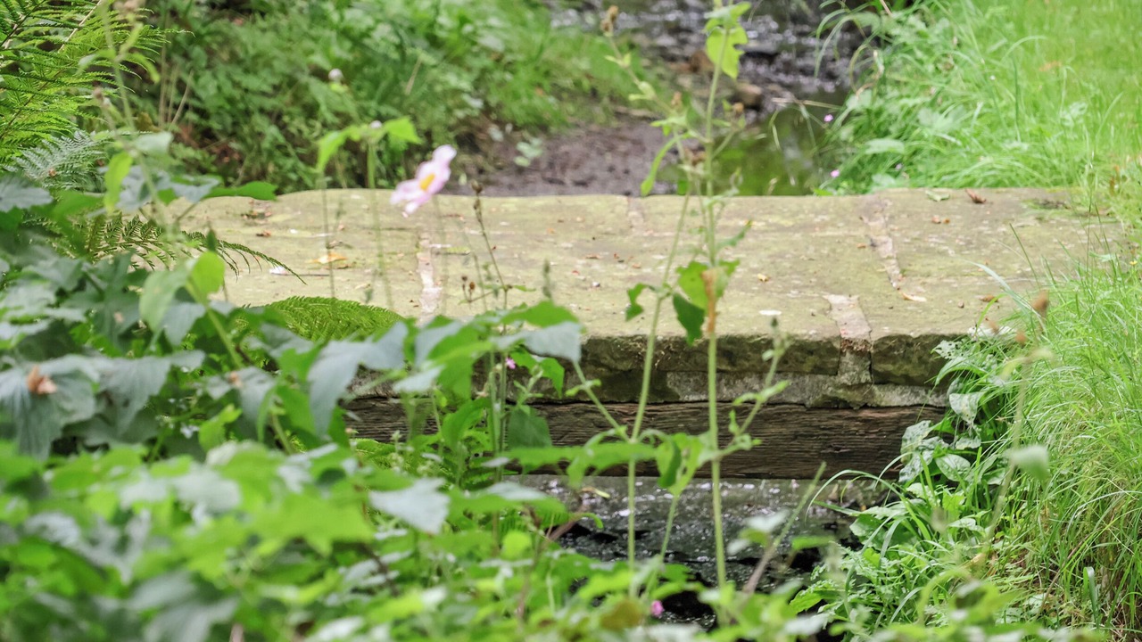 Photo of Others in Skipton