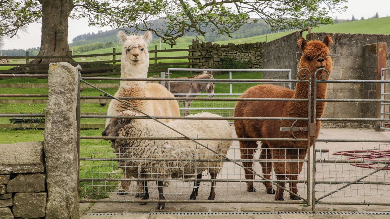 Photo of Outdoor in Skipton