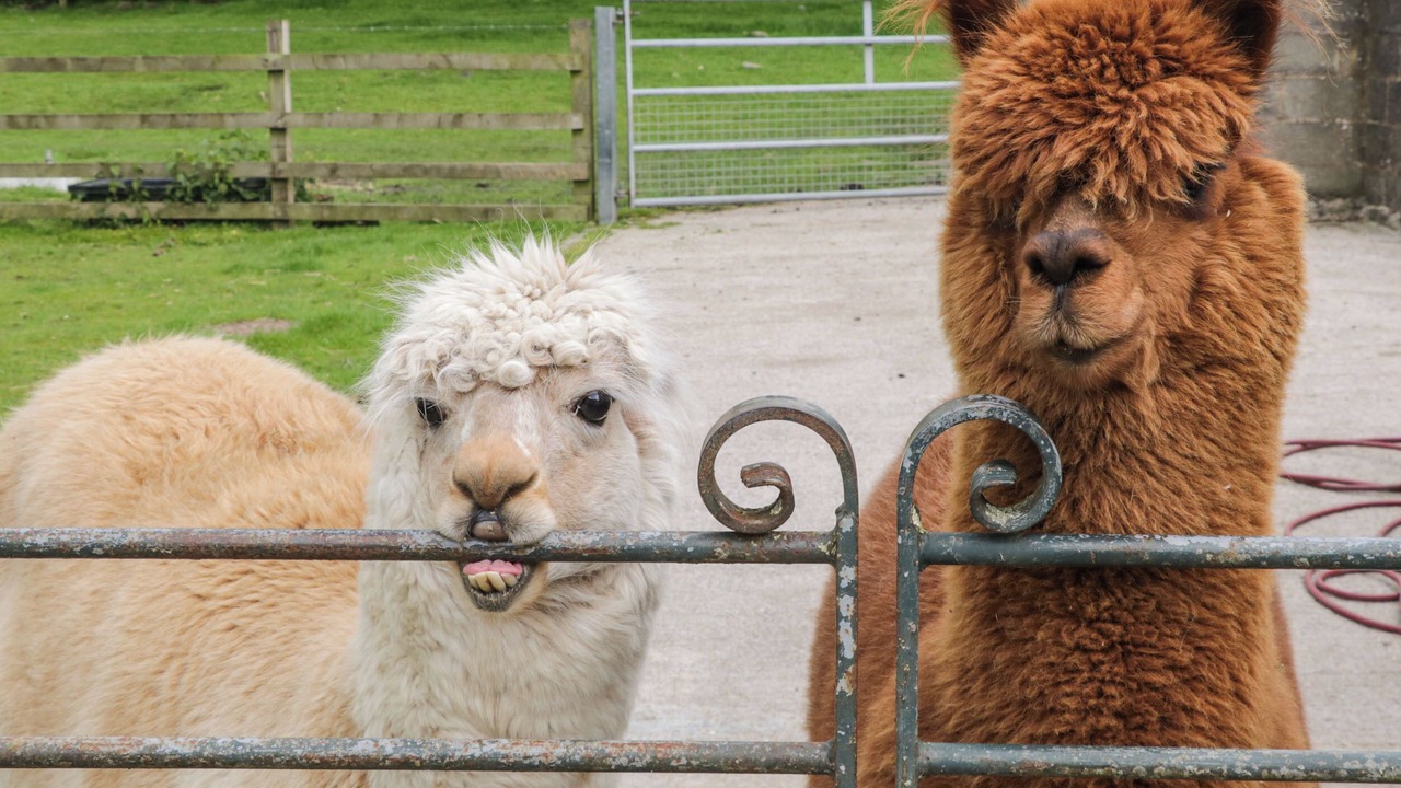 Photo of Outdoor in Skipton