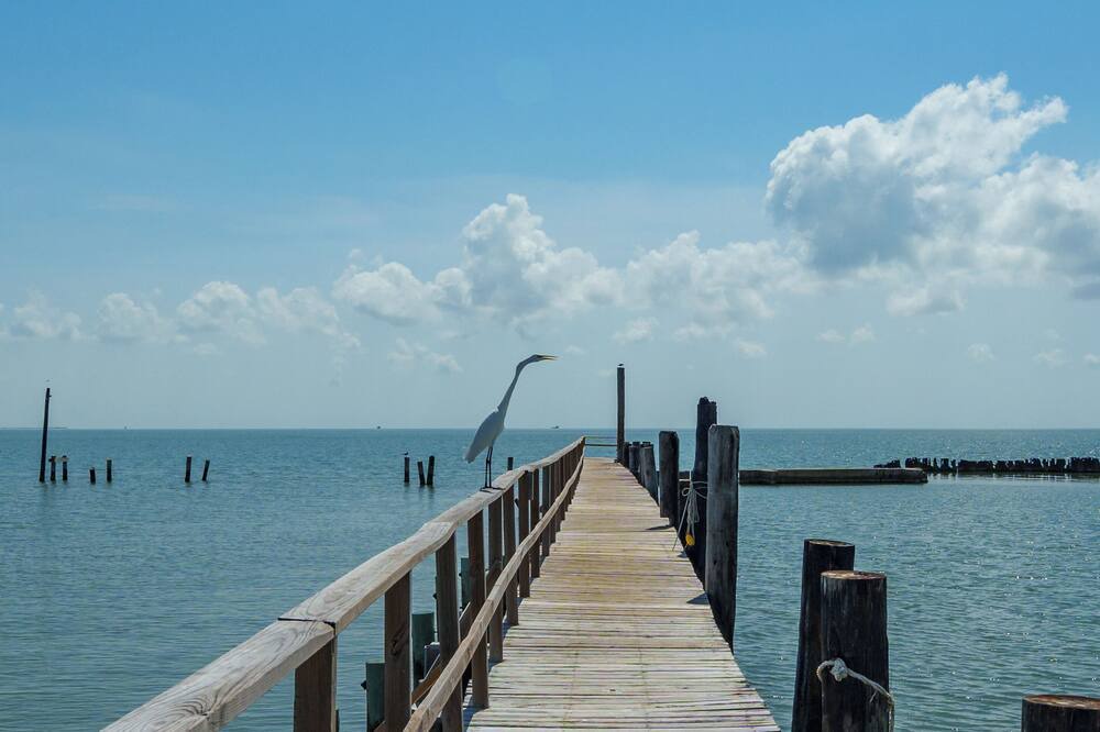 Photo of Others in Fulton