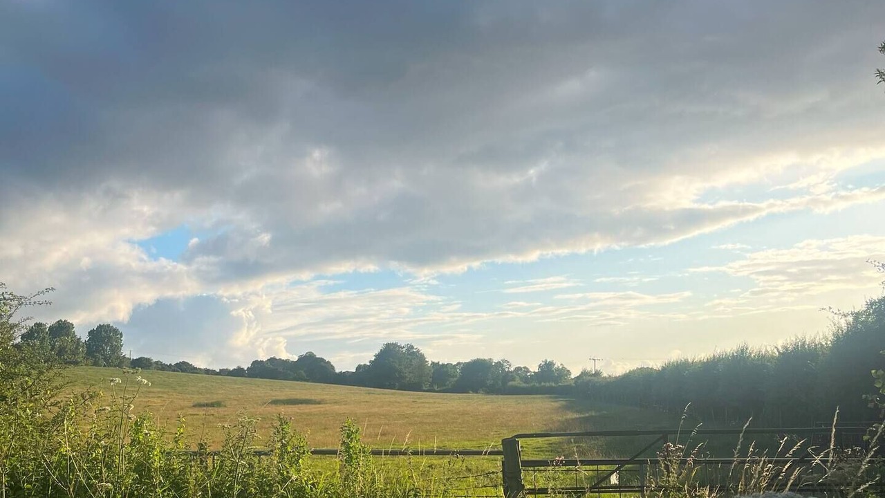 Photo of Others in Longworth