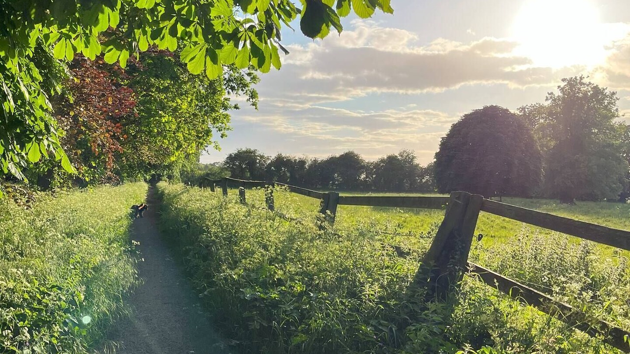 Photo of Outdoor in Longworth